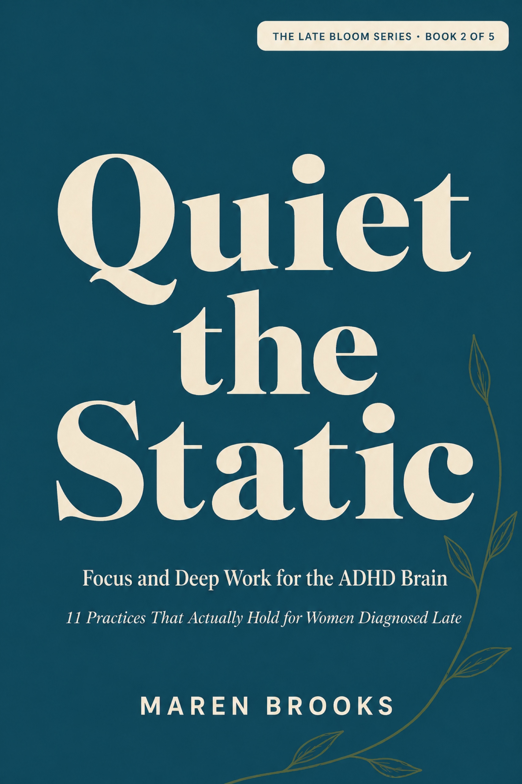Cover of Quiet the Static